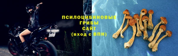 MDMA Инсар