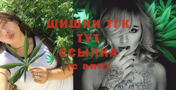 mdpv Инта