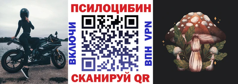 OMG ССЫЛКА  Судогда  Псилоцибиновые грибы GOLDEN TEACHER  наркота 