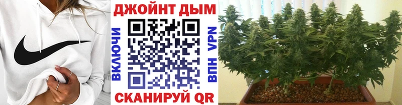 Шишки марихуана сатива наркота Судогда